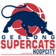 吉隆超级猫女篮logo