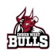 内西公牛logo