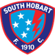 南霍巴特后备队logo