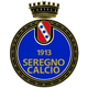 塞雷尼奧logo
