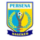佩尔塞纳logo