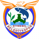 艾内西尔logo